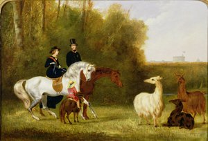 Queen Victoria, Prince Albert and the Prince of Wales at Windsor Park with Their Herd of Llamas